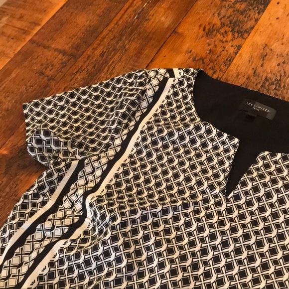 The Limited Shift Dress - Picture 3 of 3